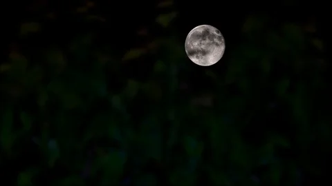 Full moon passing behind ceps, timelapse Stock Footage 99335555