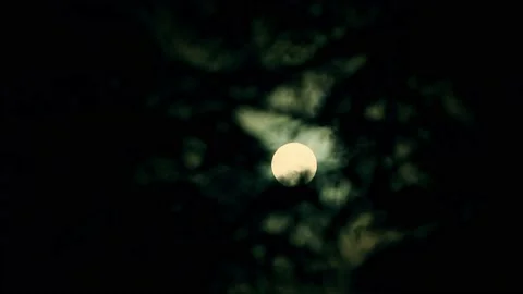 The full moon peeps through the branches of palm trees and exotic trees on the 스톡 동영상 157545413