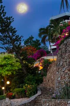 Full moon. Stock Photos