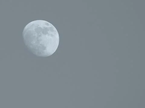 Full moon Stock Photos