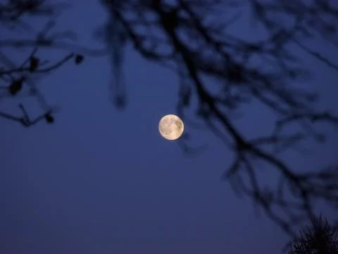 Full moon Stock Photos