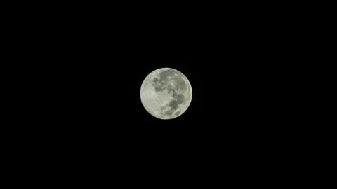 Full moon Stock Photos