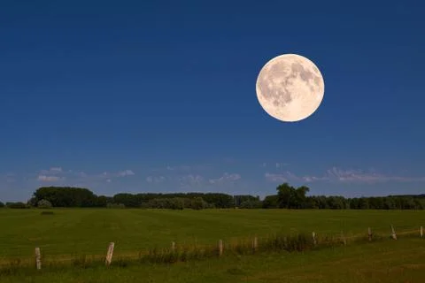 Full moon Stock Photos