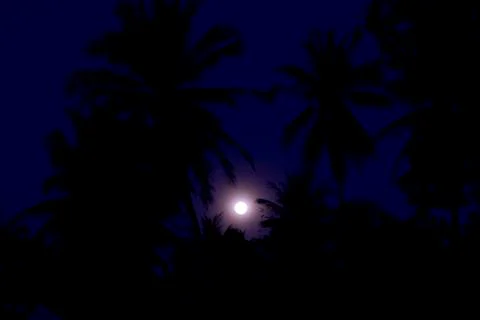 Full Moon Stock Photos