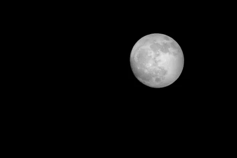 Full moon Stock Photos