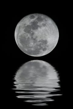 Full Moon Stock Photos