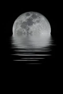 Full Moon Stock Photos