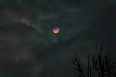 Full moon Stock Photos
