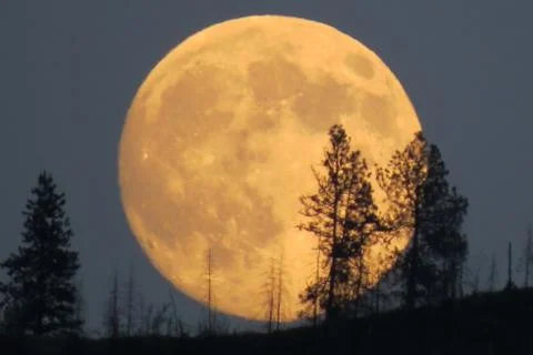 Full moon Stock Photos