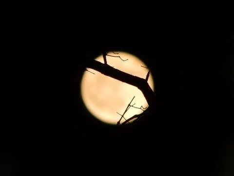 Full moon Stock Photos