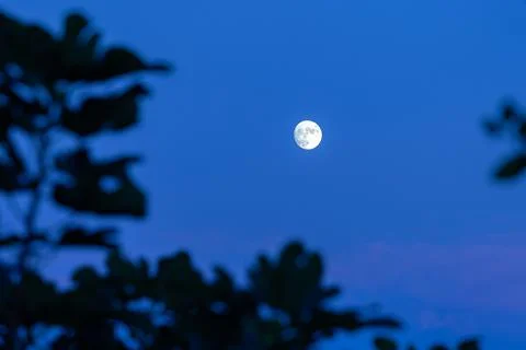 The full moon Foto stock
