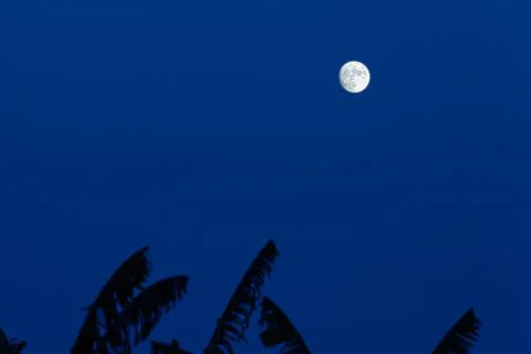 The full moon Stock Photos