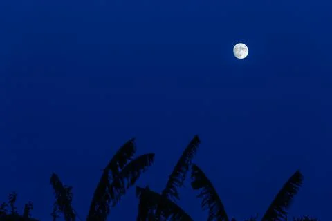 The full moon Stock Photos