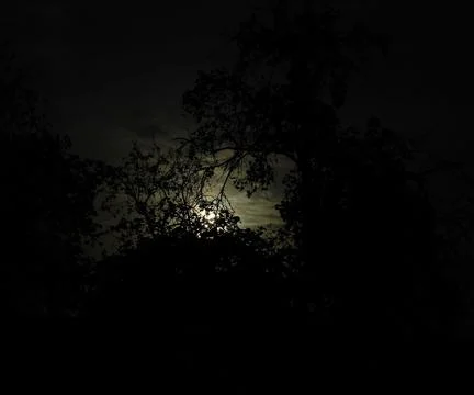 Full moon Stock Photos