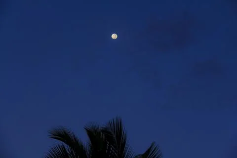 Full moon Stock-Fotos