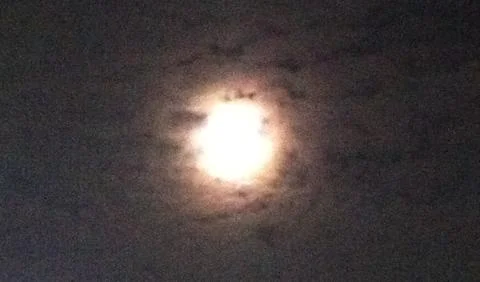 Full moon Stock Photos