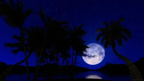 Full moon reflecting on water surface against starry sky and palm trees camer Stock-Footage 118580548