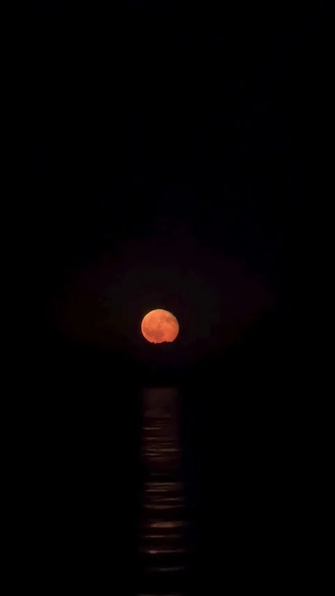 Full Moon Reflection Over Dark Water at Night Video stock 341317366