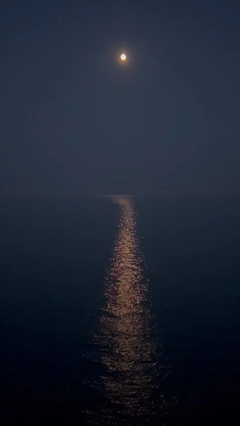 Full moon reflection over the sea by night Stock Footage 337025609