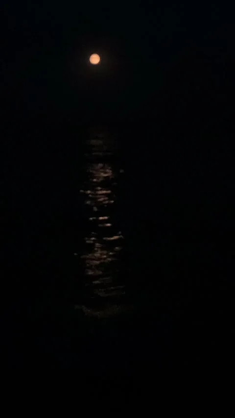 Full Moon Reflection on the Sea at Night Stock Footage 315134938