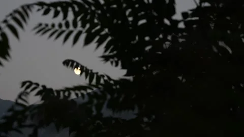 The full moon revealed behind dark stormy clouds and windless branches, Video stock 251537619
