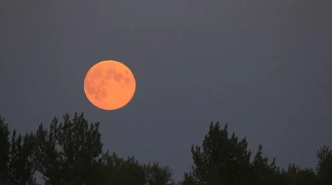 Full moon rise on dark twilight sky background Stock Footage 8527040