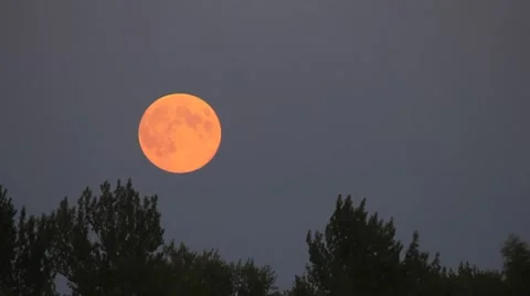Full moon rise on dark twilight sky time-lapse Vidéo 8535486