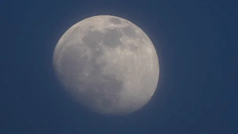 Full moon rise Stock Footage 195430490