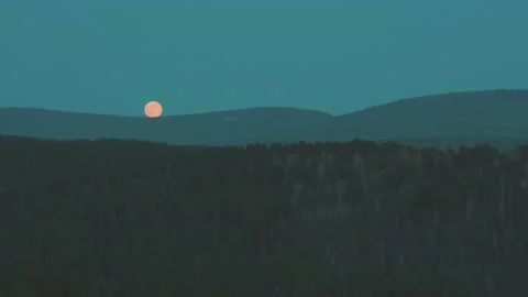 The full moon rises above the forest. Time lapse fullmoon Stock Footage 130744419