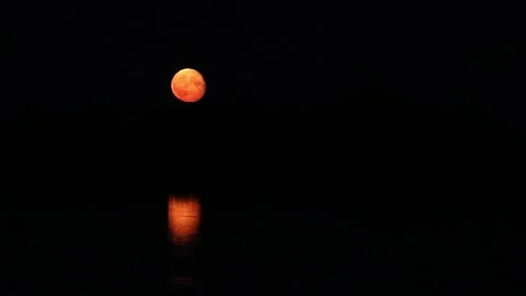 The full moon rises over the horizon. the reflection of the moon in the water Stock Footage 135564369