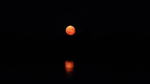 The full moon rises over the horizon. the reflection of the moon in the water Video stock 135564505