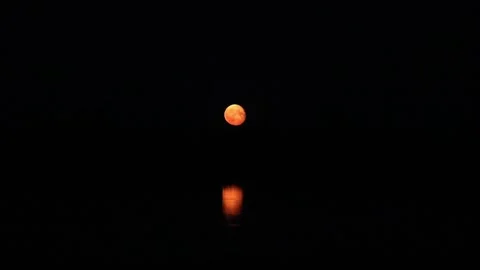 The full moon rises over the horizon. the reflection of the moon in the water Stock Footage 135564534