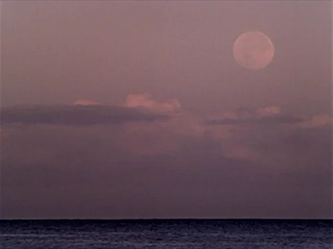 Full Moon Rises over Ocean 320x240 Video stock 532016
