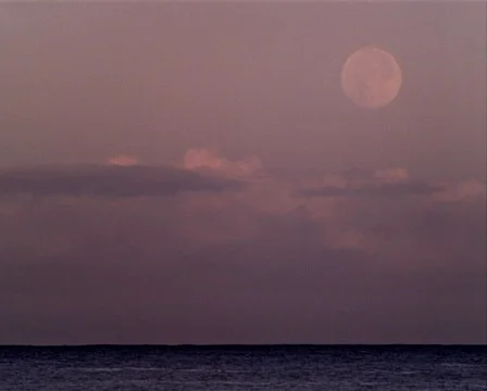 Full Moon Rises over Ocean PAL Video stock 532020