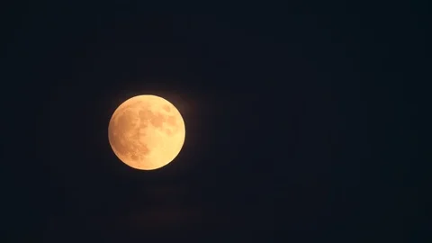 Full Moon rises in the Sky. Time Lapse Video stock 124102296