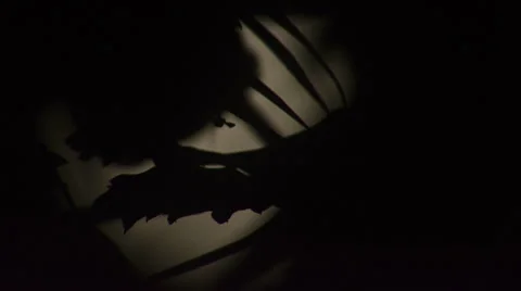 Full moon rises through trees with insect silhouette time lapse (close) Stock Footage 30369252