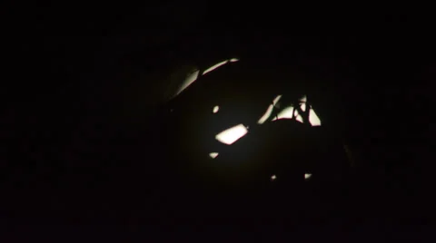 Full moon rises through trees time lapse (close) Stock Footage 30369384