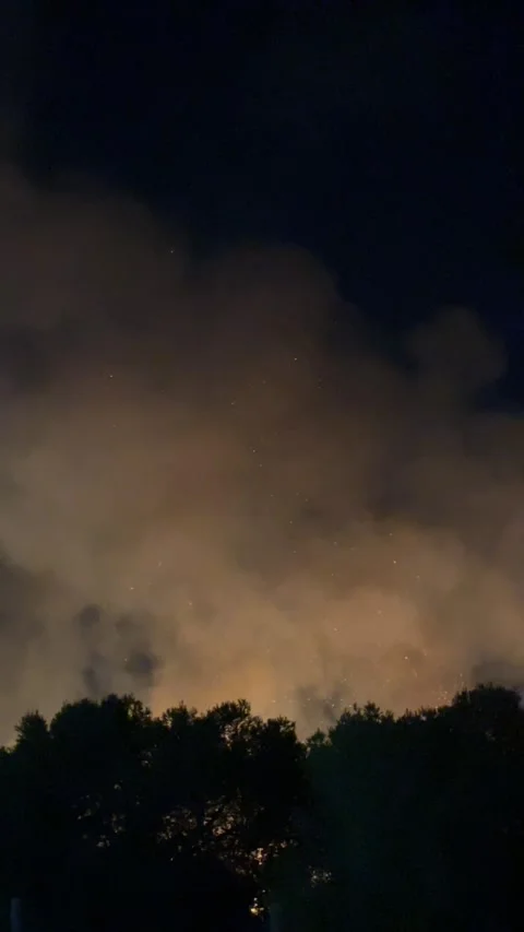Full moon rising from behind dark forest trees, illuminating the cloudy night Stock Footage 345424745