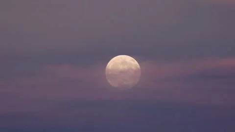 Full moon rising behind thin mauve clouds at sunset Stock Footage 317726470