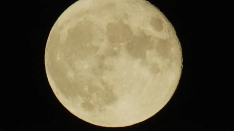 Full Moon Rising big close up  Vídeo Stock 224329207