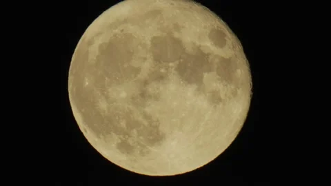 Full Moon Rising big close up  Vídeo Stock 224329762