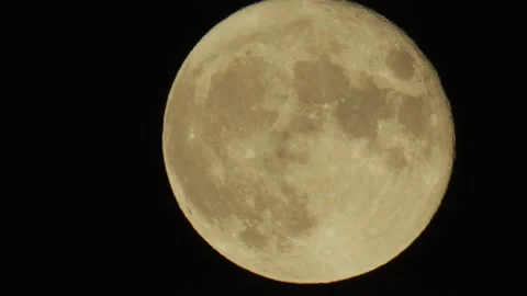 Full Moon Rising big close up  Vídeo Stock 224330126