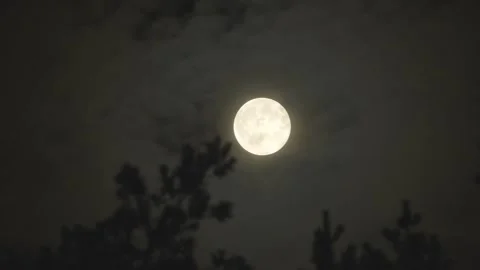 Full Moon Rising With Clouds Passing Over Night Sky Stock Footage 344050967