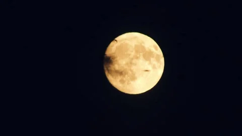 Full Moon Rising in the Dark Night Sky with Passing Clouds Stock Footage 341957316