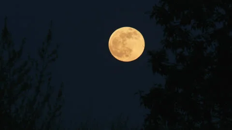 Full moon rising at dusk - 4K time lapsed Stock Footage