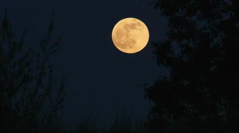 Full moon rising at dusk - time lapse Video stock 25500279
