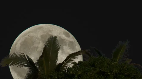 Full Moon Stock Video Footage 