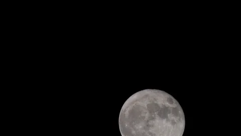 Full Moon Rising Stock Footage 80360151