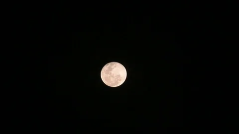 Full moon rising Stock Footage 91982543