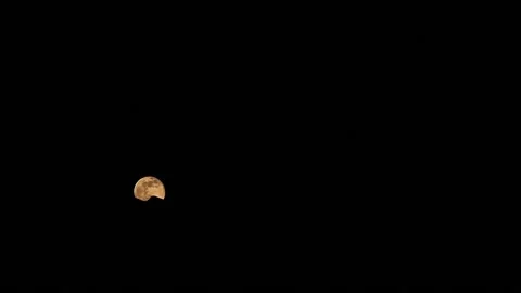 Full moon rising in night through the branches silhouette. Time lapse Stock Footage 128002241